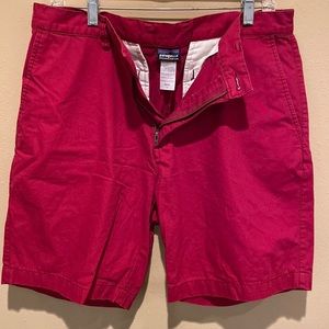 Patagonia shorts size 33